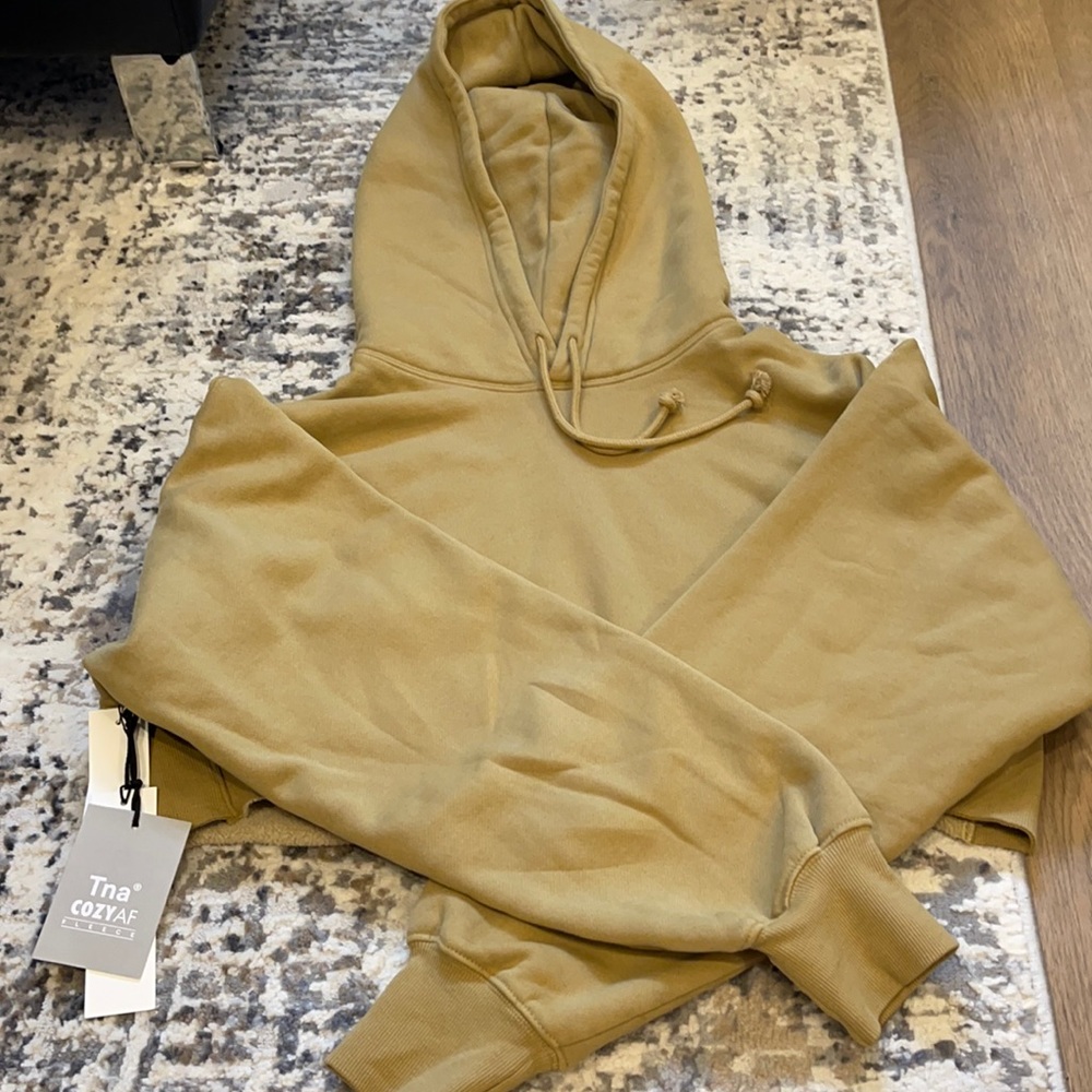 ARITZIA TNA COZY AF Cropped Hoodie